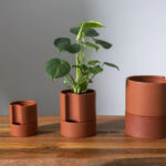 97791-24_2_900x (1) (1)