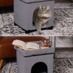 ottoman-pet-bed (1)