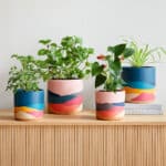 ultralight-dreams-indoor-terracotta-planter-xl