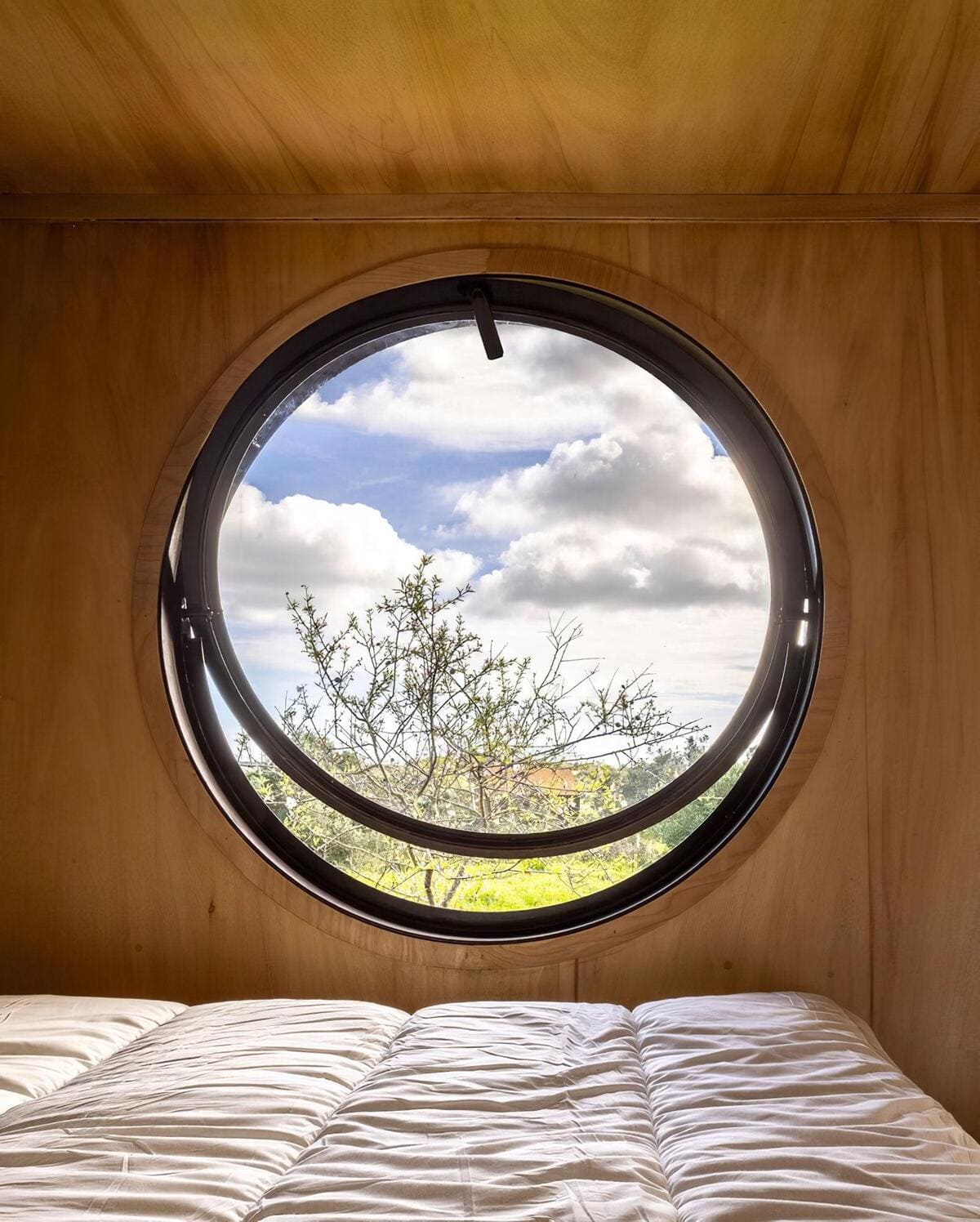 casa cargo madeiguincho 8 - From Cargo to Cozy: A Shipping Container Tiny Home with a Rooftop Terrace