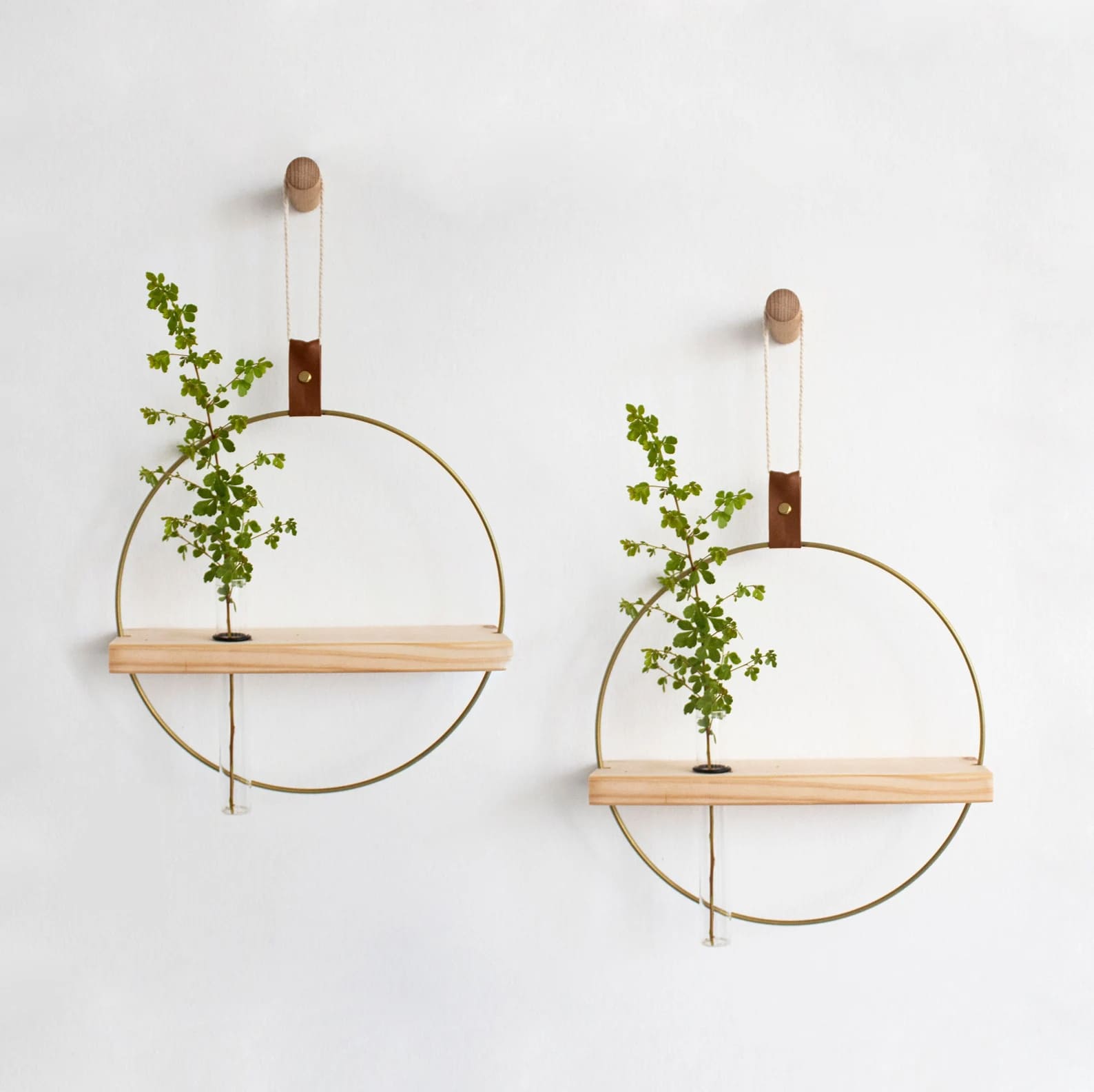 Wall Propagation planter - 12 Beautiful Vases You Can Hang on the Wall for a Stunning Vertical Display (2025)