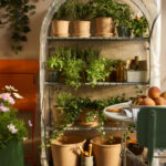 IKEA_ASPAREN_ vaxthus_PH201549