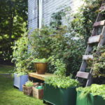 IKEA_ASPAREN_kruka_PH202127