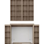 bookcase-murphy-bed