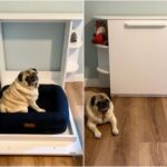 dog-murphy-bed (2) (1)