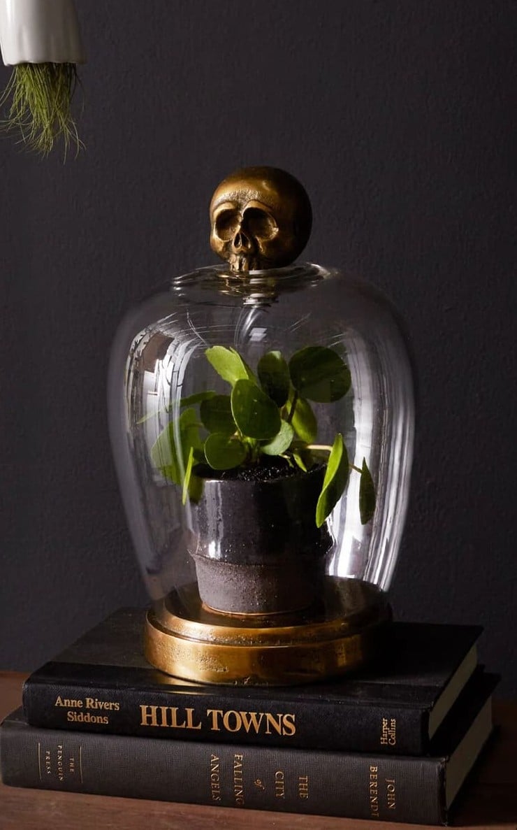 A small potted plant sits under a glass dome with a gold skull on top, creating a striking Halloween decor piece, placed on two stacked books against a dark background.