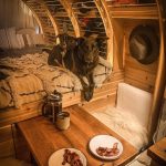 “No eating the bacon!”…“Good dogs”—#vandogs #vanpups #vanpuppy #sprinterbuild #vancamper #tiny
